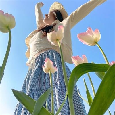 扬帆